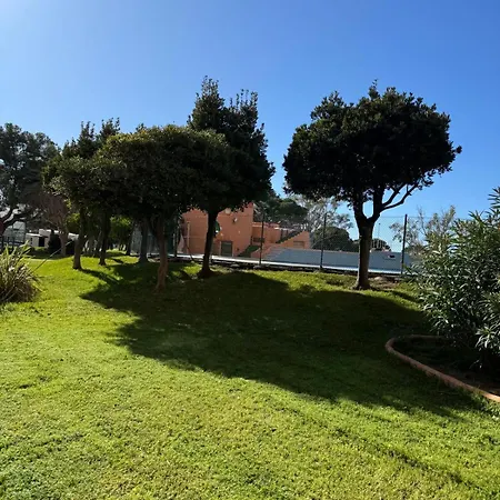 Vacaciones En Isla De Apartment